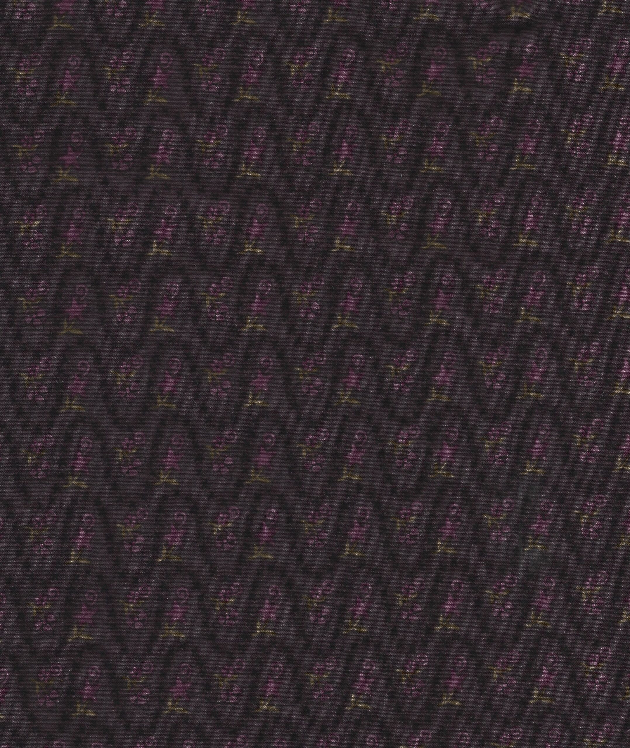 Wavy Purple Star Flowers