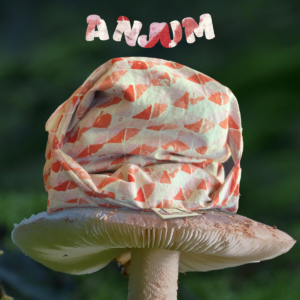 <em>Anjum</em> "Swimming Checks Pink" eCoddle Classic