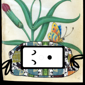 "Expressive Squares" eCoddle Versa