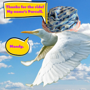 <em>Purcell</em> "Swimming Checks Blue" and "Swimming Checks Pink" eCoddle Classic