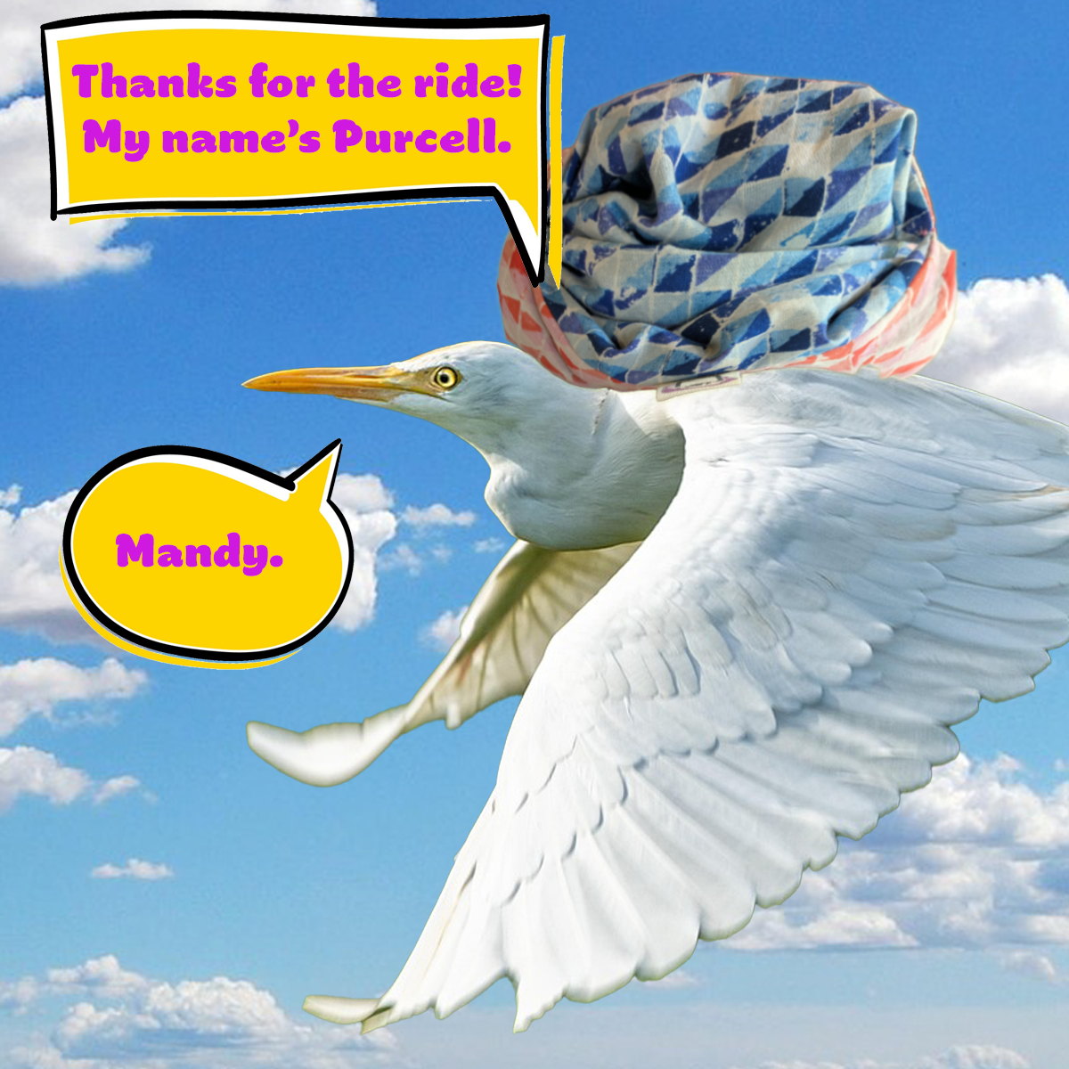 <em>Purcell</em> "Swimming Checks Blue" and "Swimming Checks Pink" eCoddle Classic